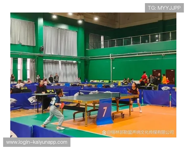 乒乓球俱乐部推动青少年技术档案化管理与跟踪，乒乓球青少年培训